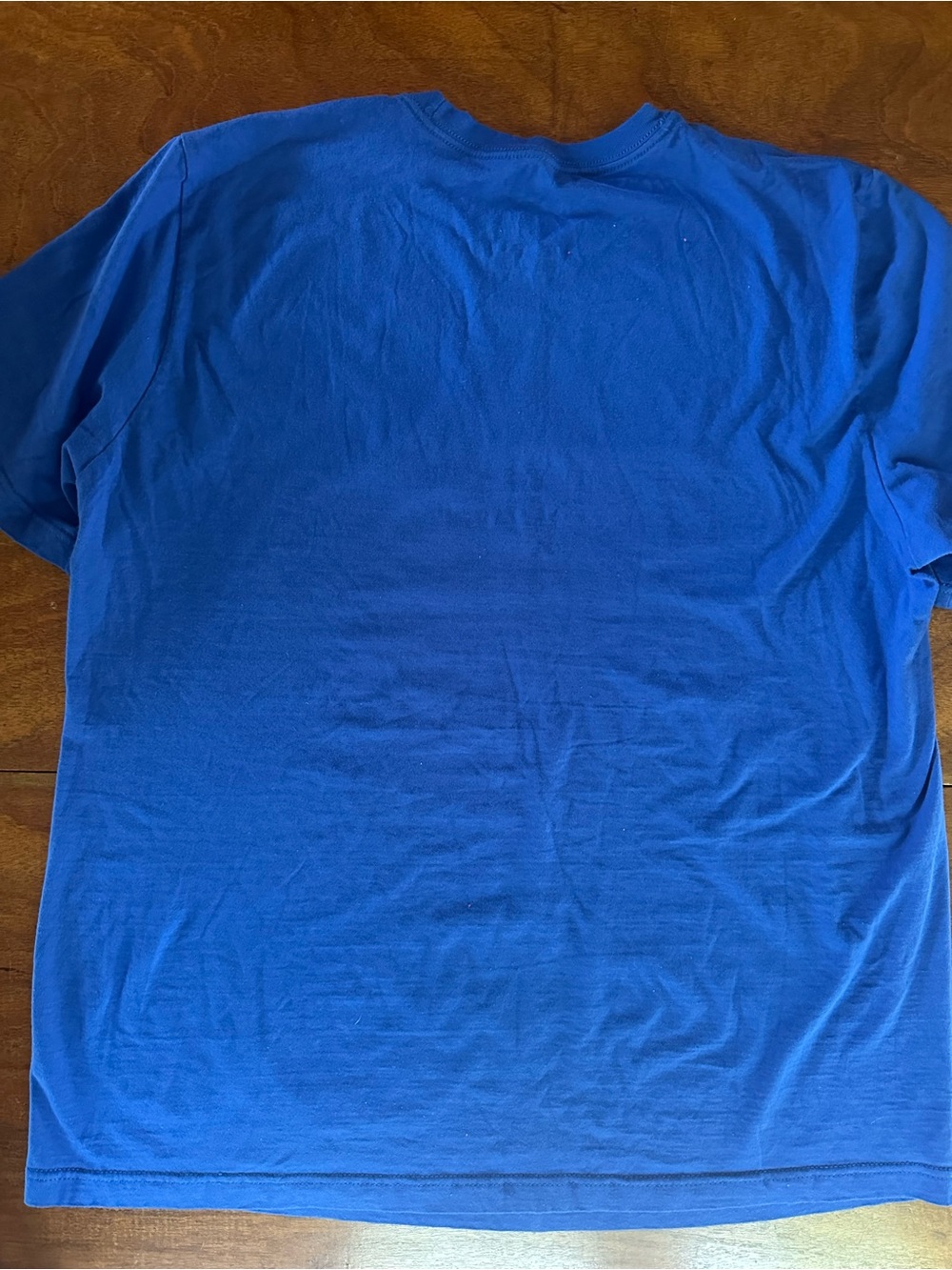 Nike Air “Not A Role Model” Graphic T Shirt Blue Red XL Streetwear Tee - Picture 4 of 4